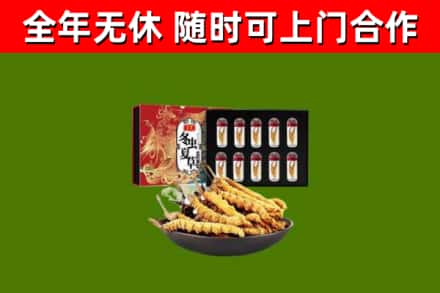 罗山县回收冬虫夏草价格